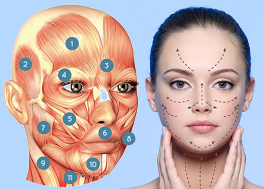 Masaje Facial Japones un tratamiento de rejuvenecimiento con tecnicas orientales Esteticistas