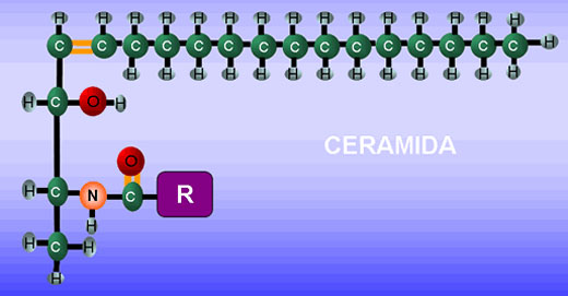 CERAMIDAS